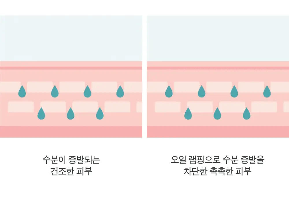 [대용량] 더마비 데일리 모이스처 바디오일 300ml(피치향) 상세페이지 10